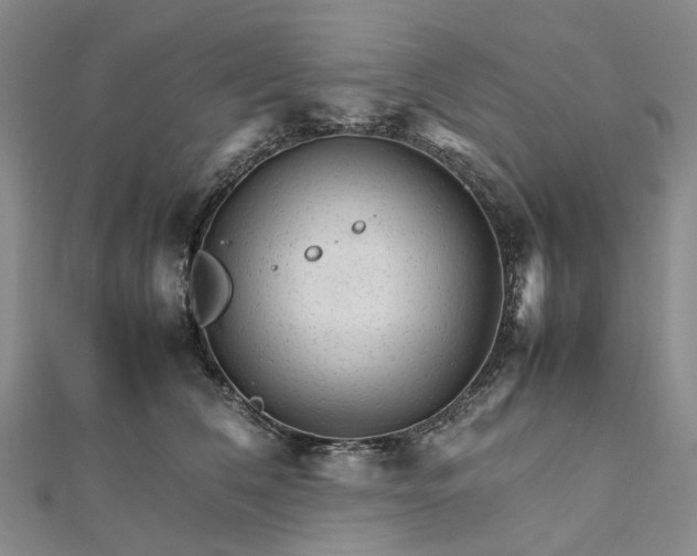 X0000111680612200907311221