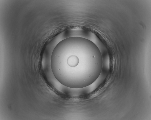 X0000111680613200907311221