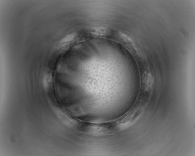 X0000111680614200907311221