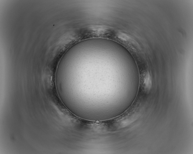 X0000111680615200907311221