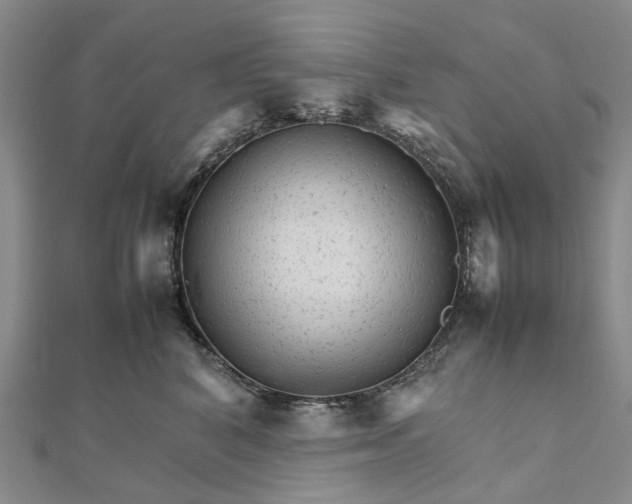 X0000111680616200907311221