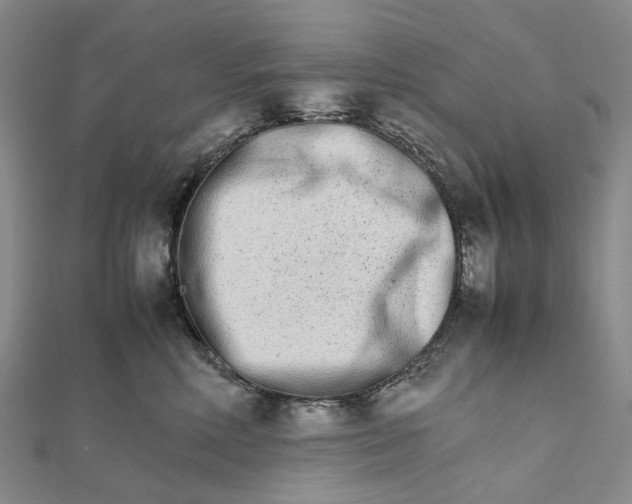 X0000111680618200907311221