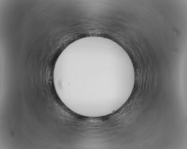 X0000111680619200907311221