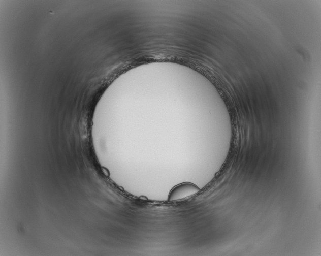 X0000111680620200907311221