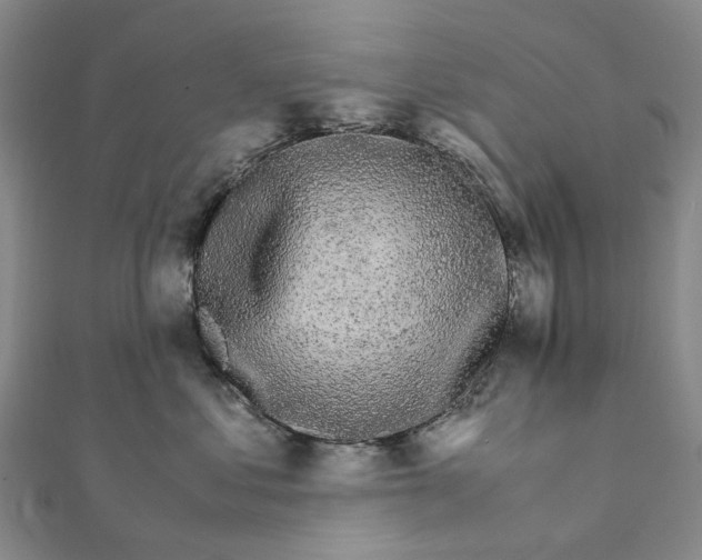 X0000111680621200907311221