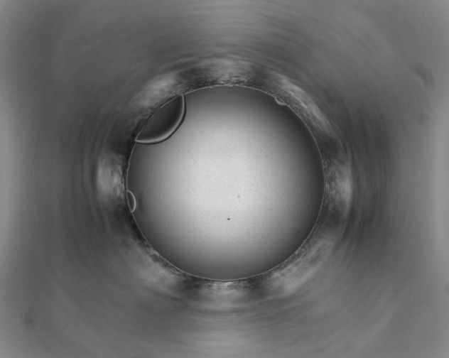 X0000111680622200907311221