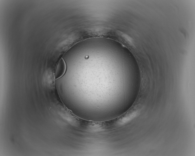 X0000111680624200907311221