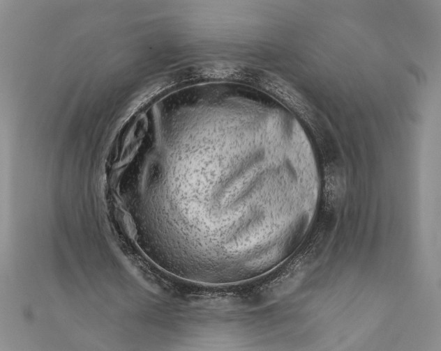 X0000111680626200907311220