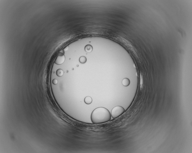 X0000111680627200907311220