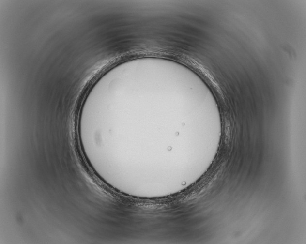 X0000111680629200907311220