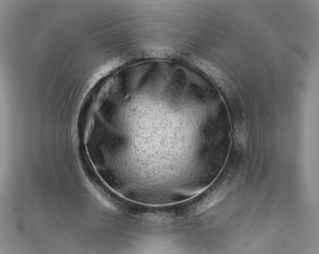 X0000111680630200907311220