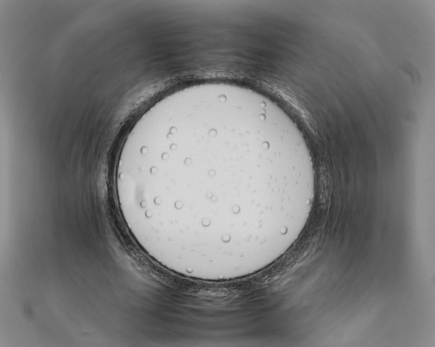 X0000111680631200907311220