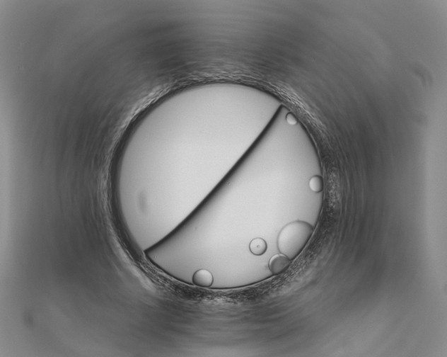 X0000111680634200907311220