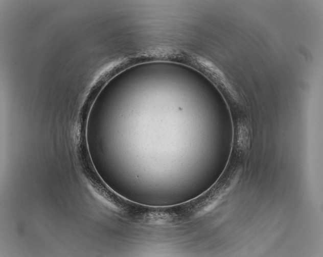 X0000111680636200907311220