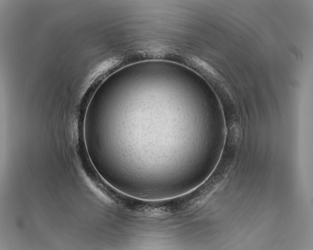 X0000111680638200907311220