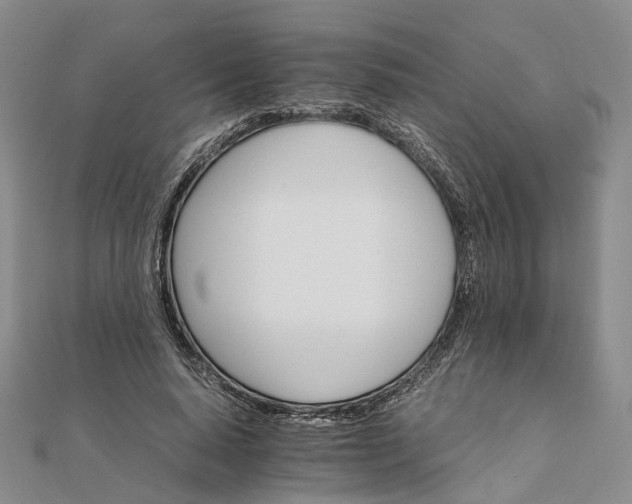 X0000111680640200907311220