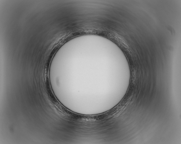 X0000111680644200907311220