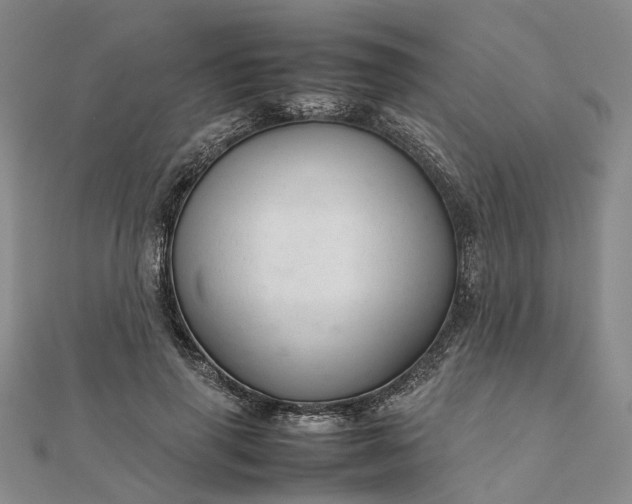 X0000111680645200907311220