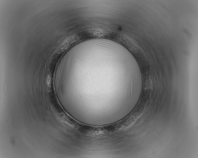 X0000111680646200907311220