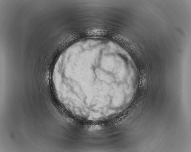 X0000111680647200907311220