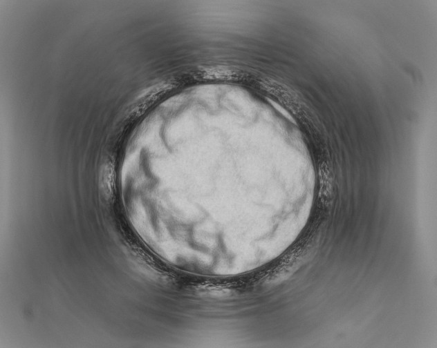 X0000111680648200907311220