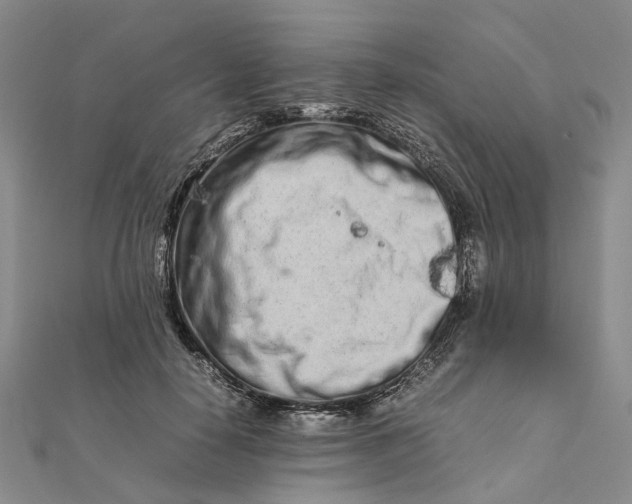 X0000111680650200907311220