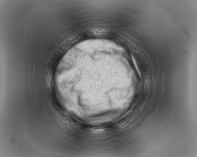 X0000111680651200907311220