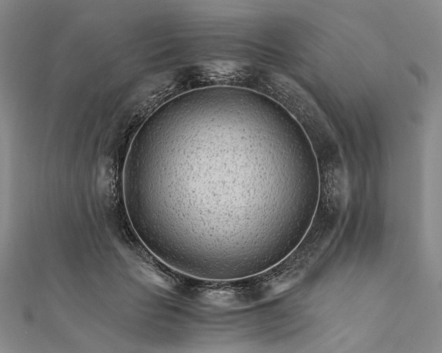 X0000111680653200907311220