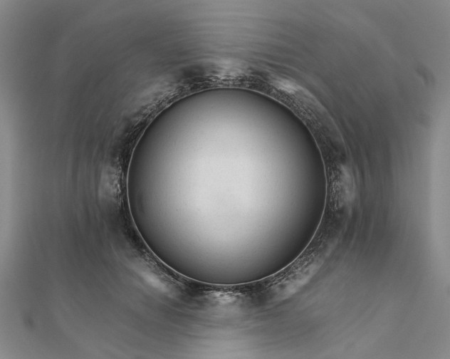 X0000111680654200907311220