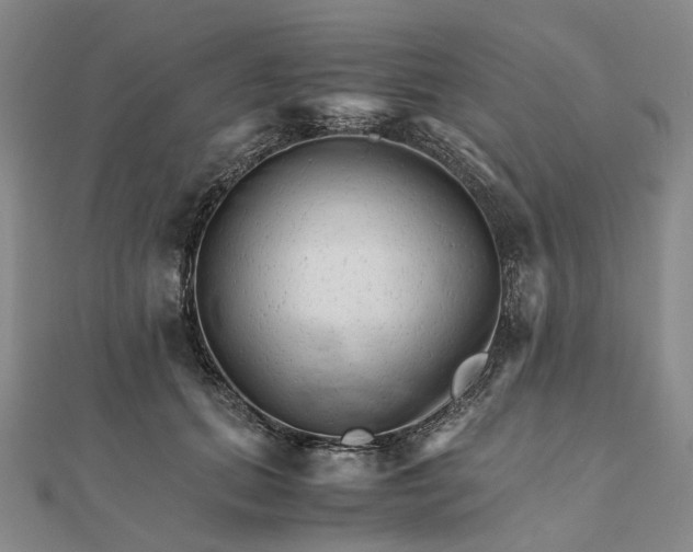 X0000111680655200907311220