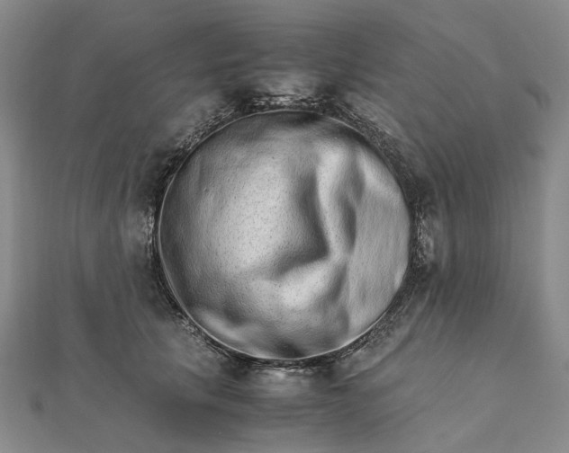 X0000111680657200907311220