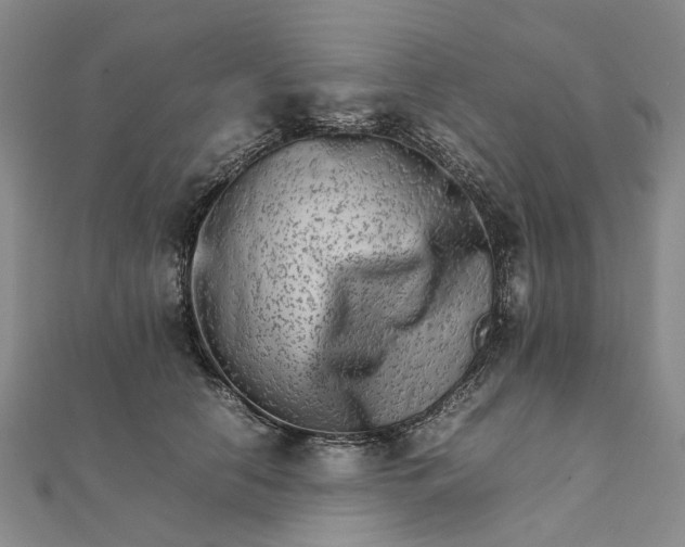 X0000111680658200907311220