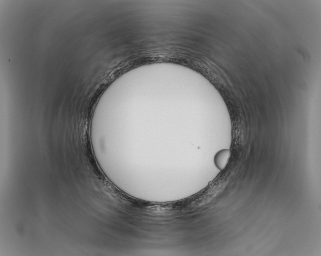 X0000111680660200907311220