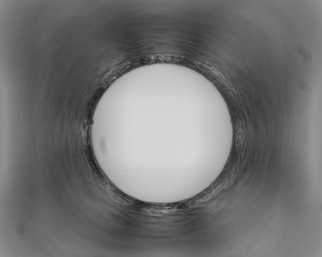 X0000111680661200907311220