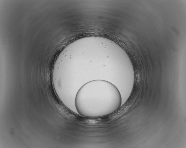 X0000111680662200907311220