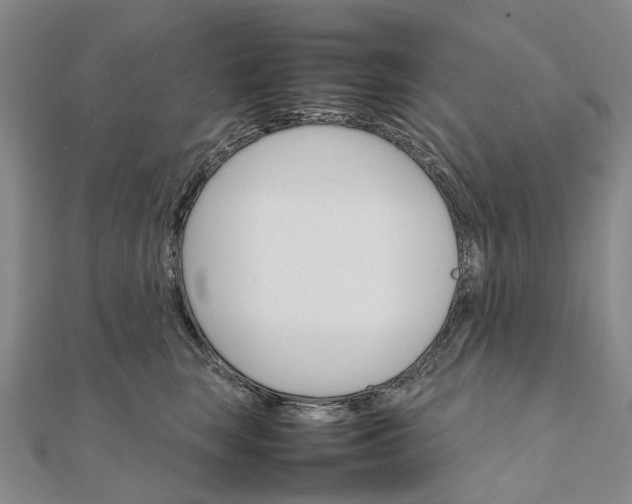 X0000111680663200907311220