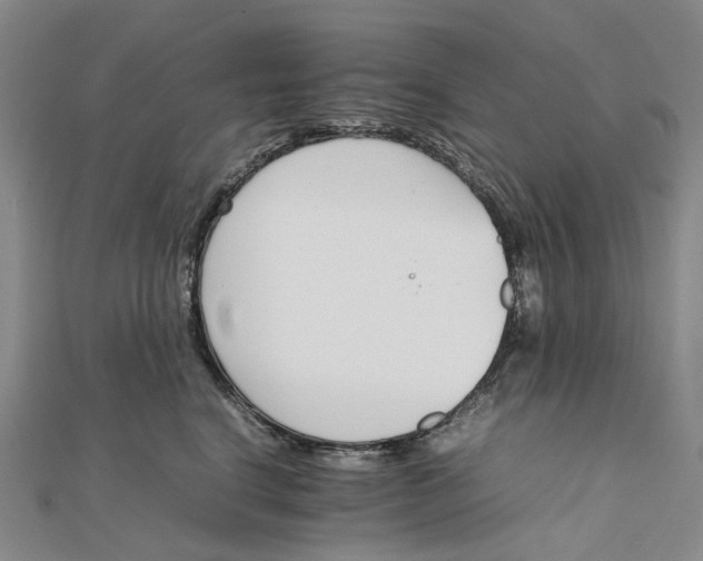 X0000111680664200907311220