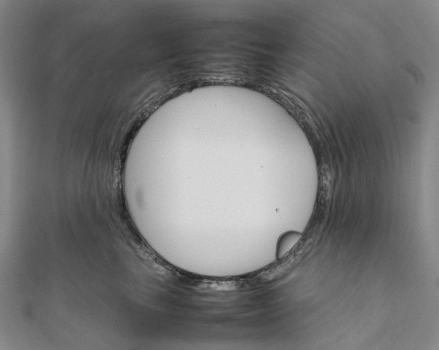 X0000111680665200907311220