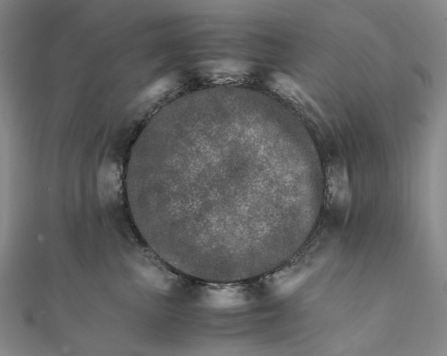 X0000111680667200907311221