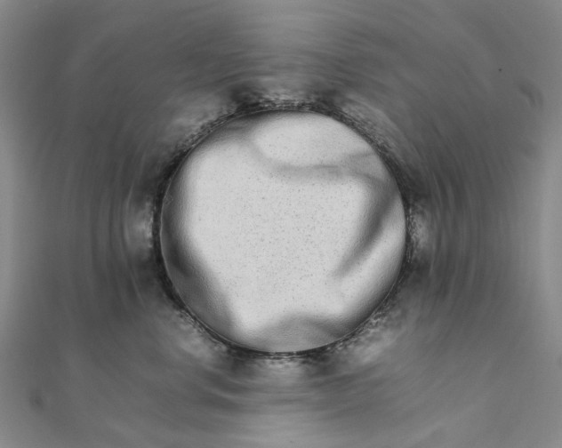 X0000111680668200907311221