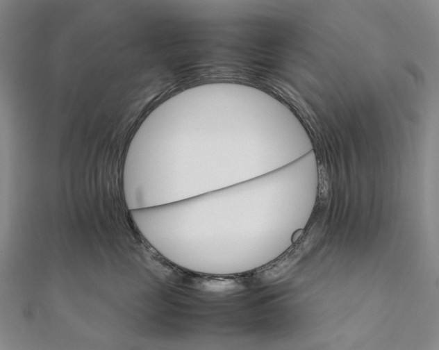 X0000111680669200907311221