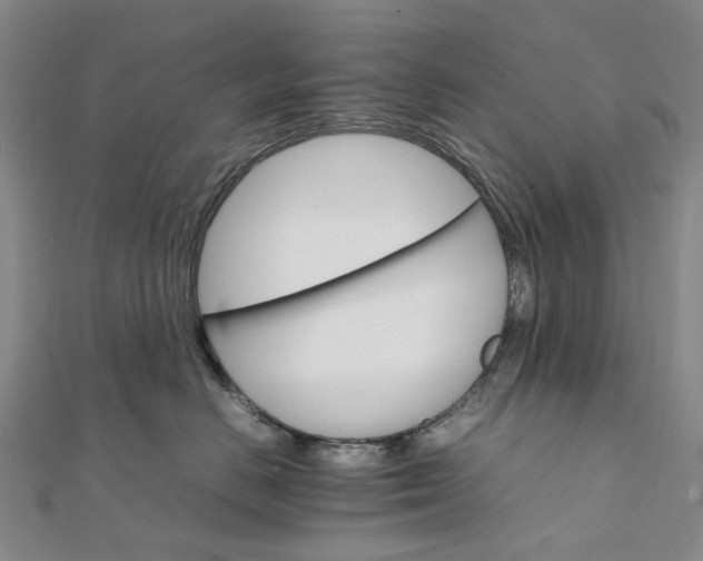 X0000111680670200907311221