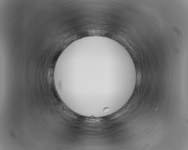 X0000111680671200907311221