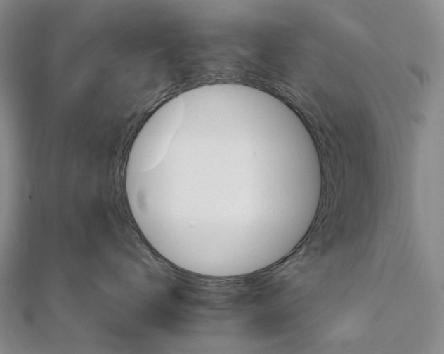 X0000111680672200907311221