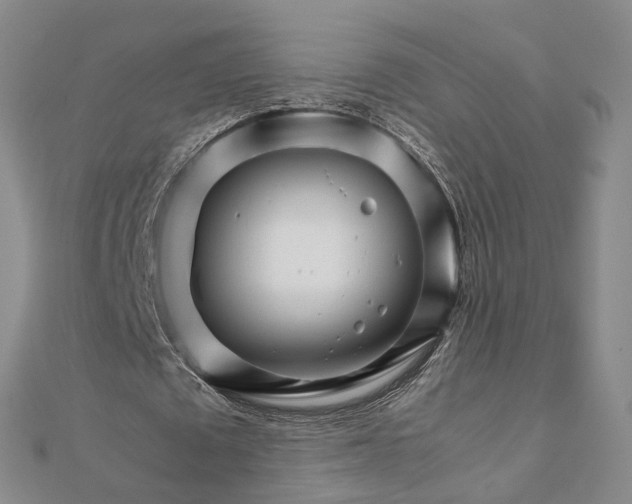 X0000111680673200907311220