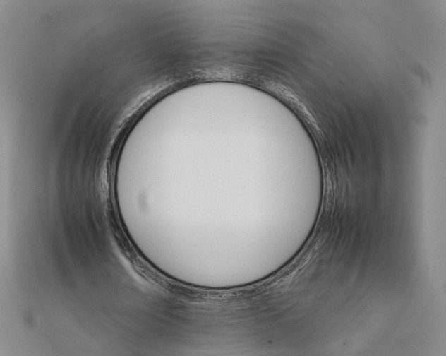 X0000111680674200907311220