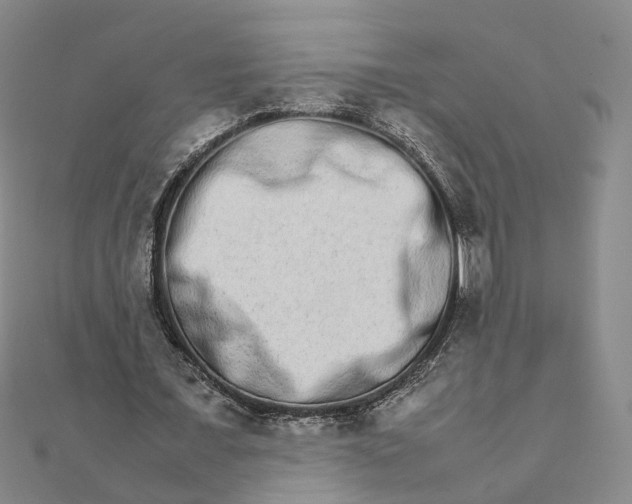 X0000111680675200907311220