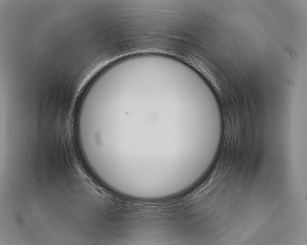 X0000111680676200907311220