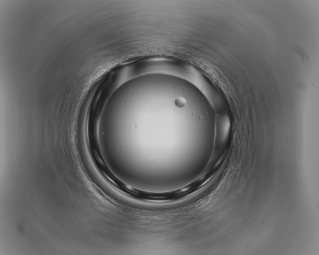 X0000111680677200907311220