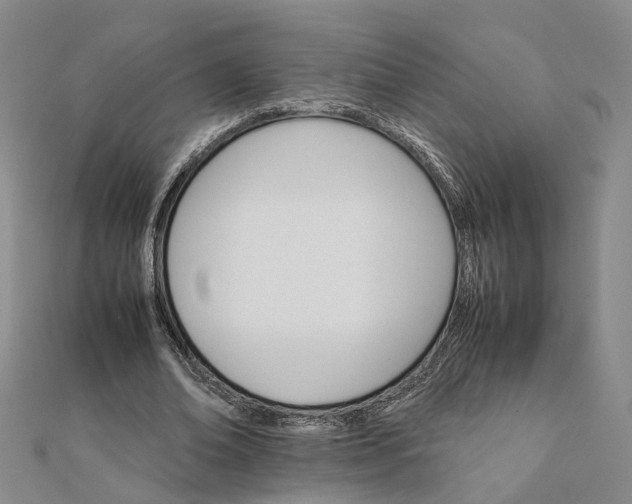 X0000111680678200907311220